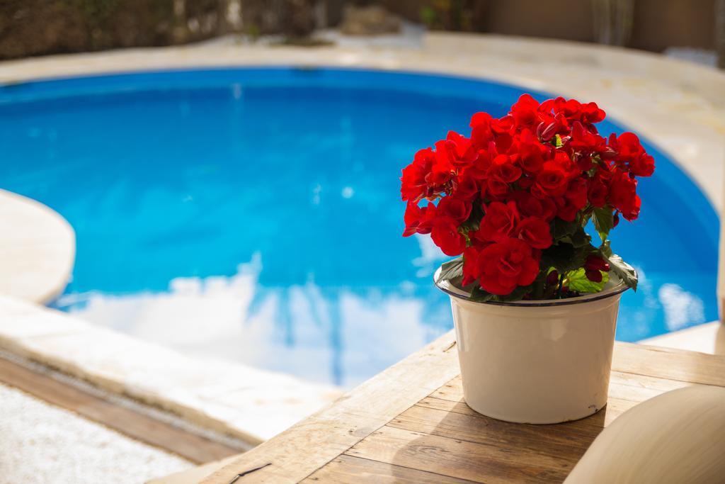 Azul Rentals Villa Albir El Albir Εξωτερικό φωτογραφία